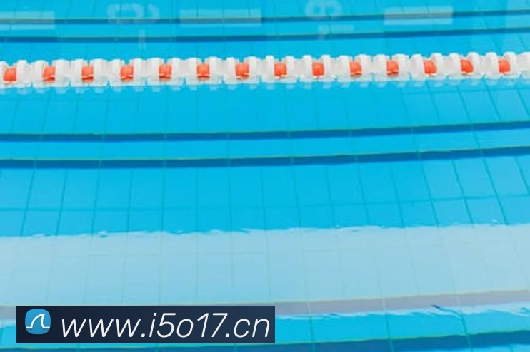 九游电子娱乐官网平台生态图